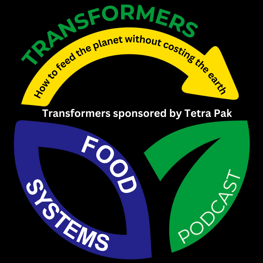 Transformers | The sustainability change makers